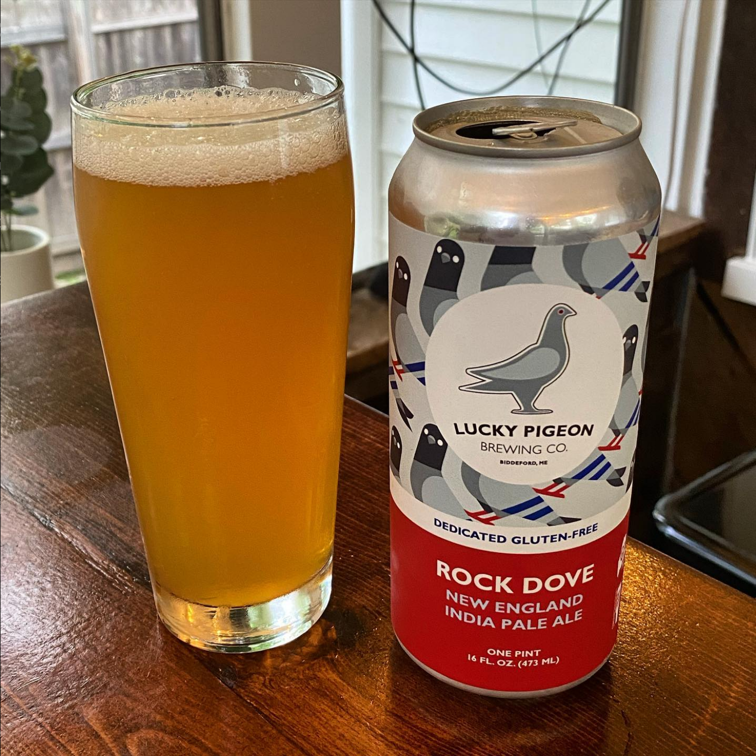 Rock Dove New England IPA